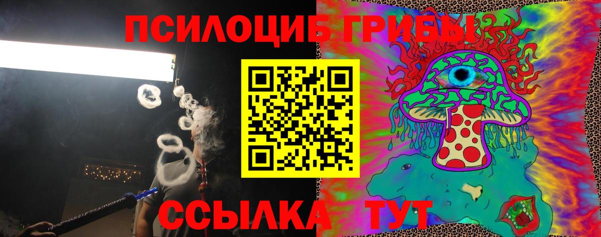 Реж  Галлюциногенные грибы прущие грибы  где продают наркотики  Вход с VPN  Галлюциногенные грибы прущие грибы 