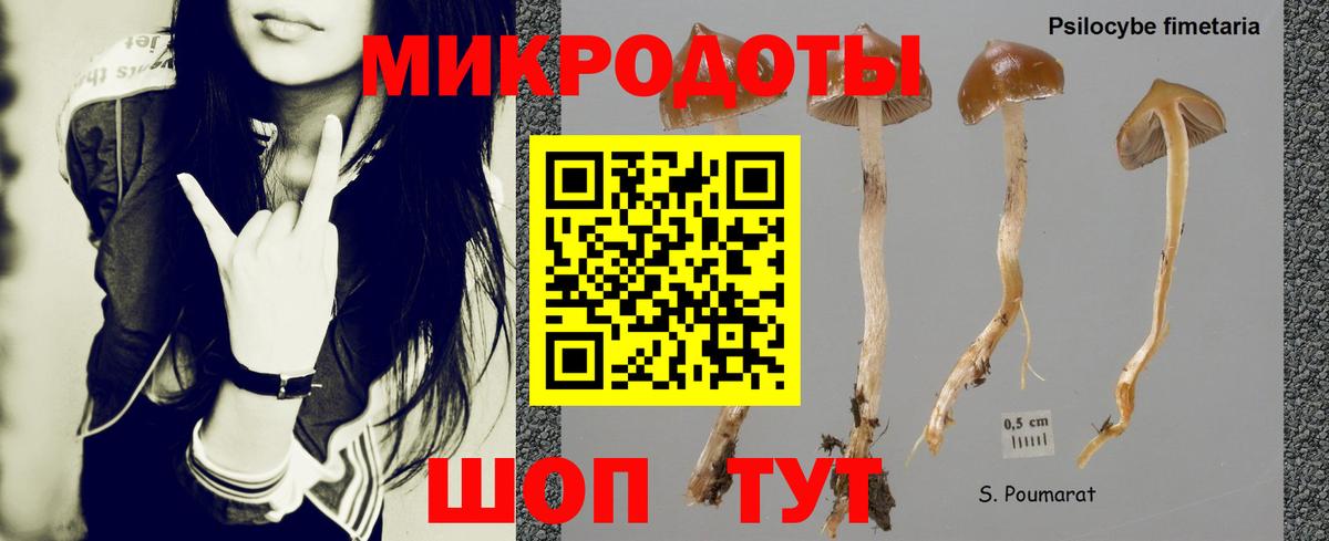 Галлюциногенные грибы прущие грибы Реж